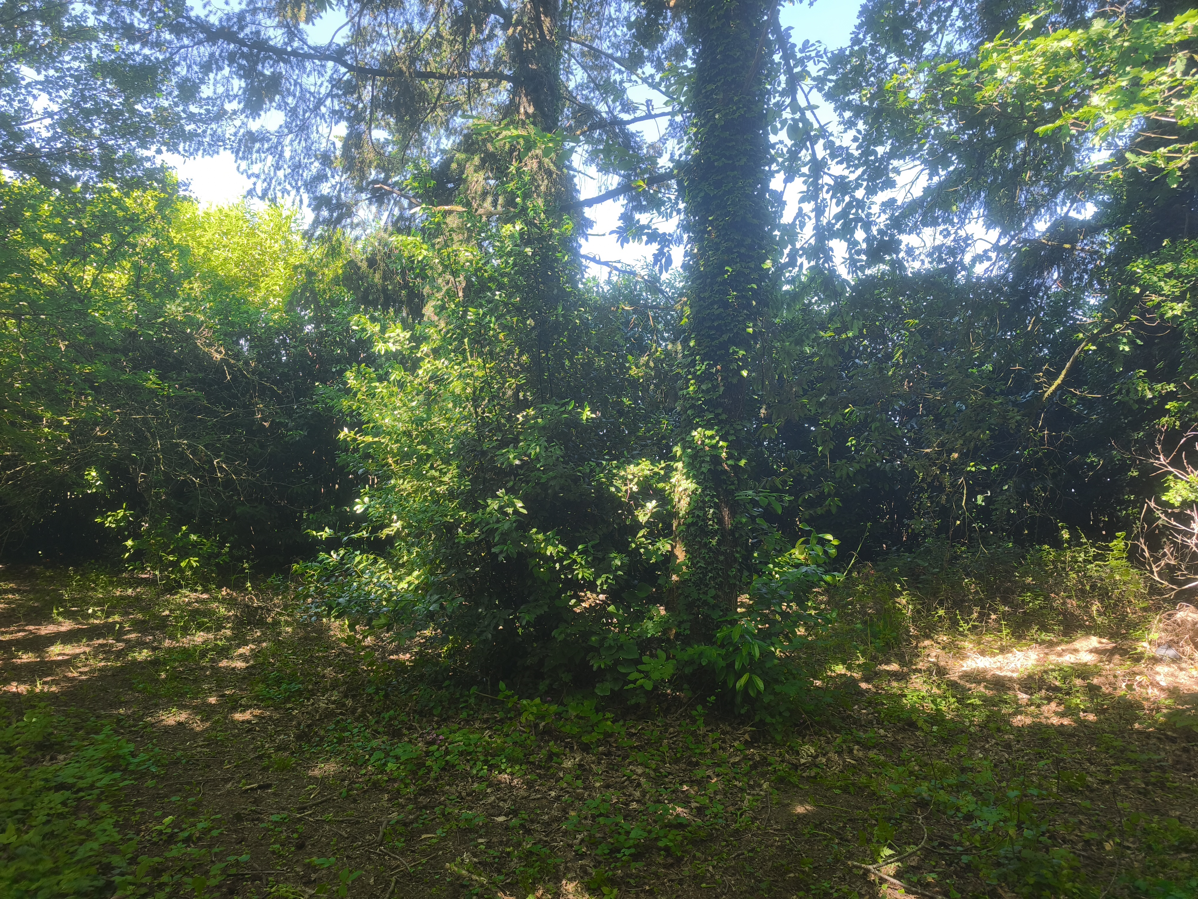 Photo 15